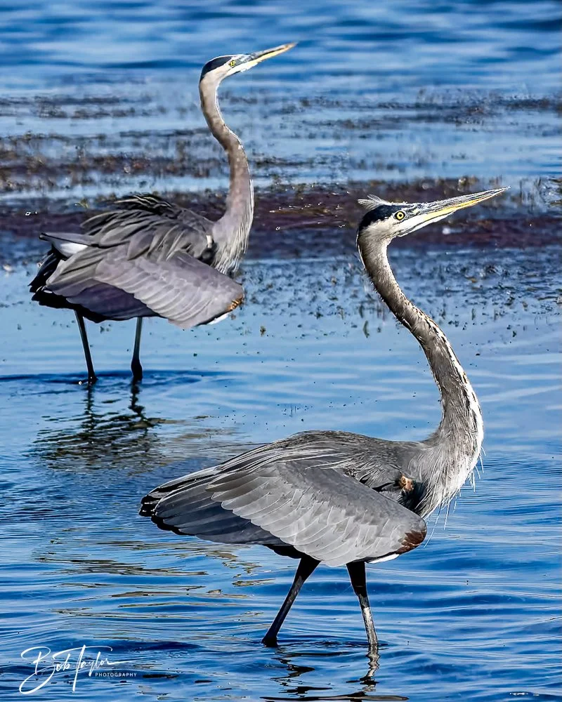 20231017-SASP -922.jpg