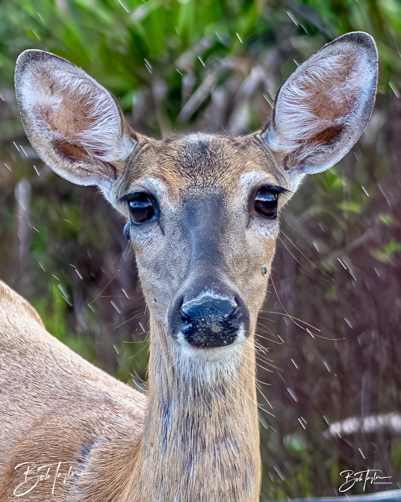 20240628-SASP -1399.jpg