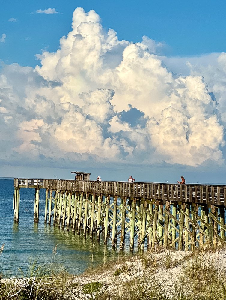 20220830-SASP -481.jpg