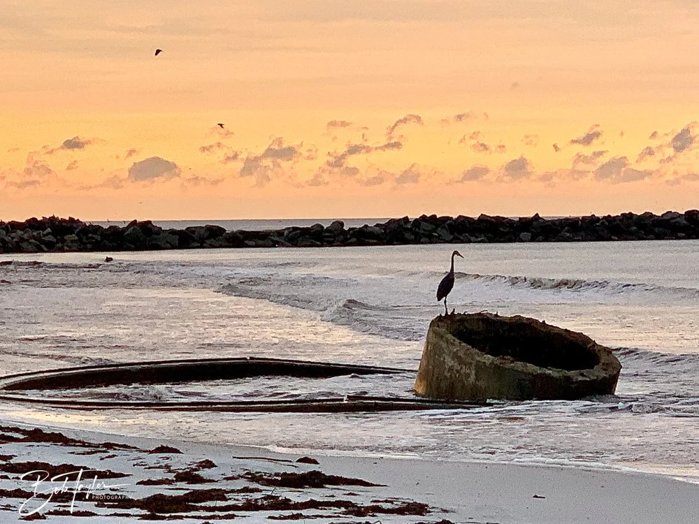 20200919-SASP -187.jpg