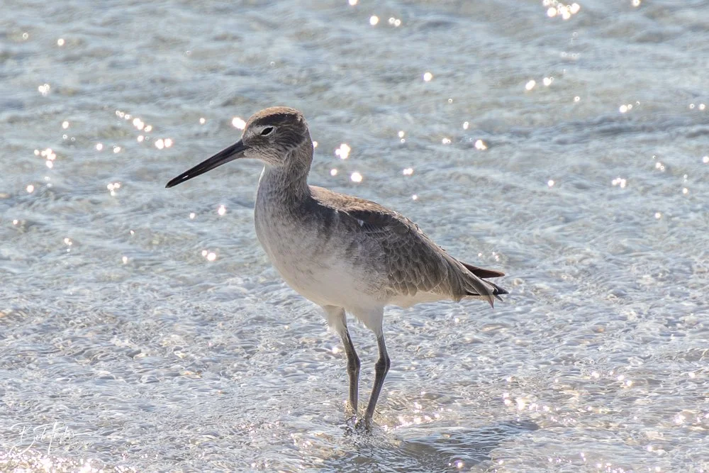 20251116-SASP One Day -20.jpg