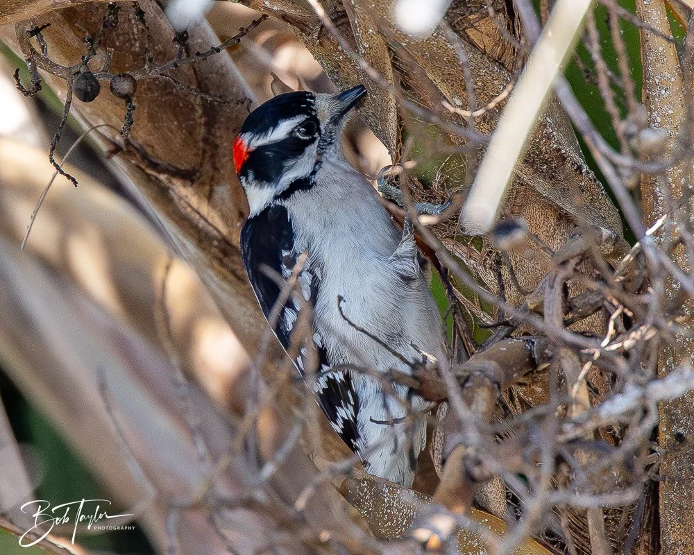 20260212-SASP -2.jpg