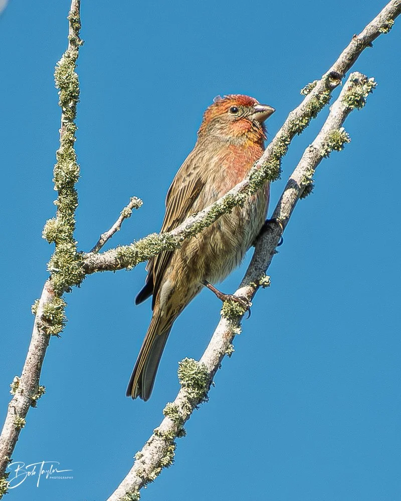 20251119-SASP Final -83.jpg