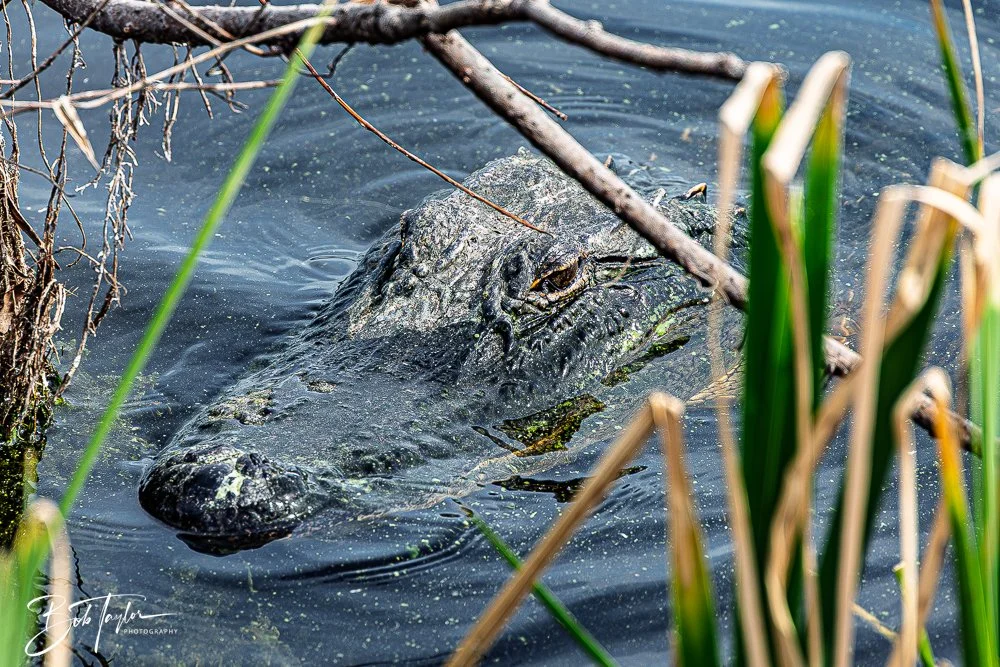 20260214-SASP -22.jpg