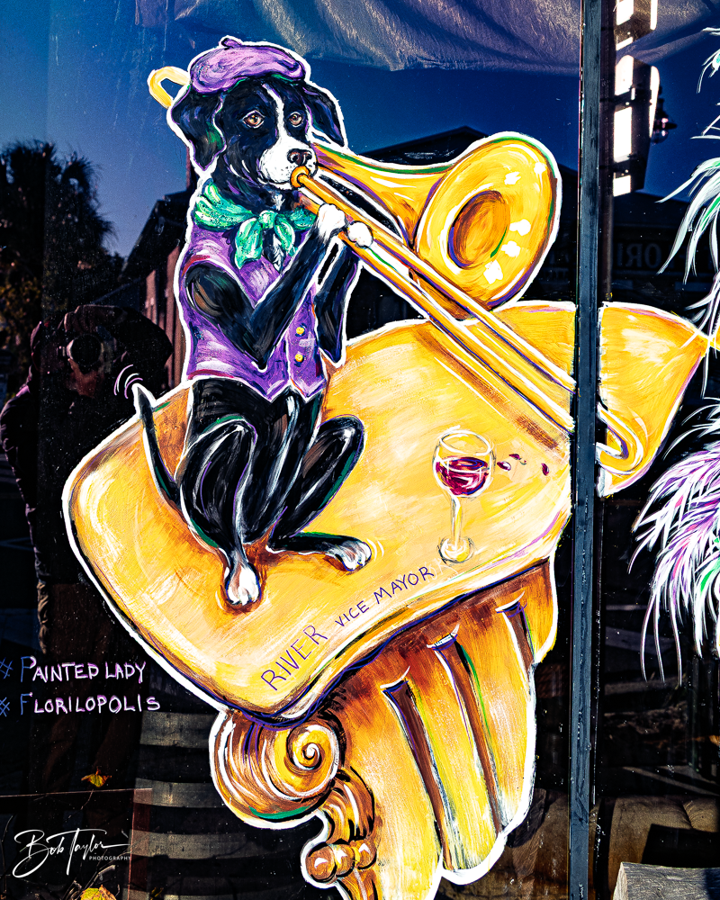 20260115-Mardi Gras Windows -25.png