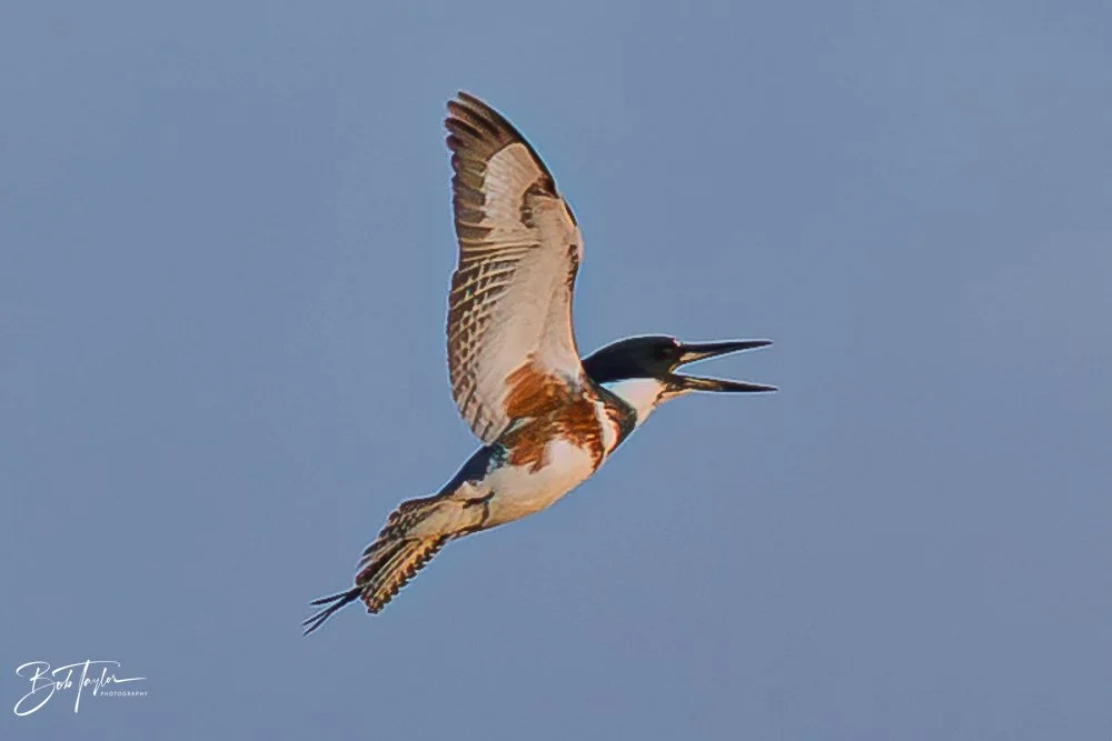 20251117-SASP Final -39.jpg