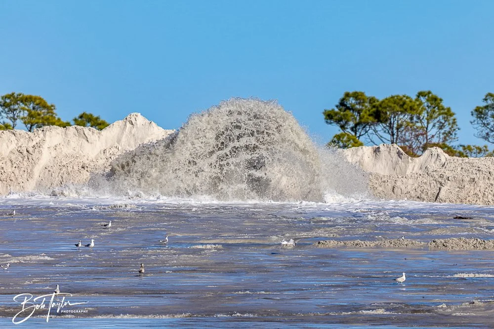 20250104-SASP -1746.jpg