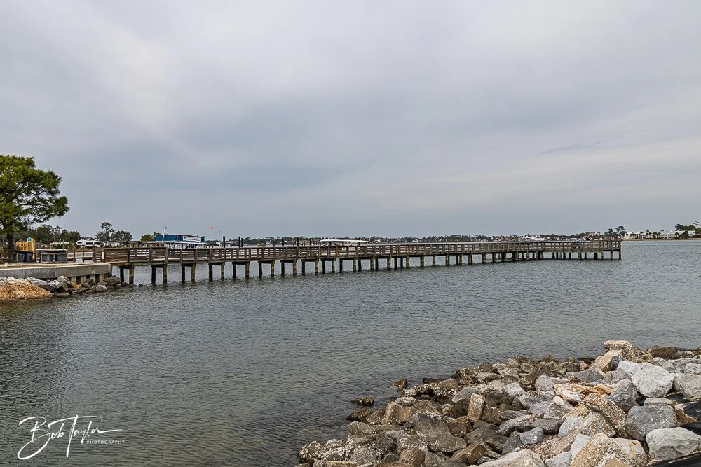 20260214-SASP Story -46.jpg