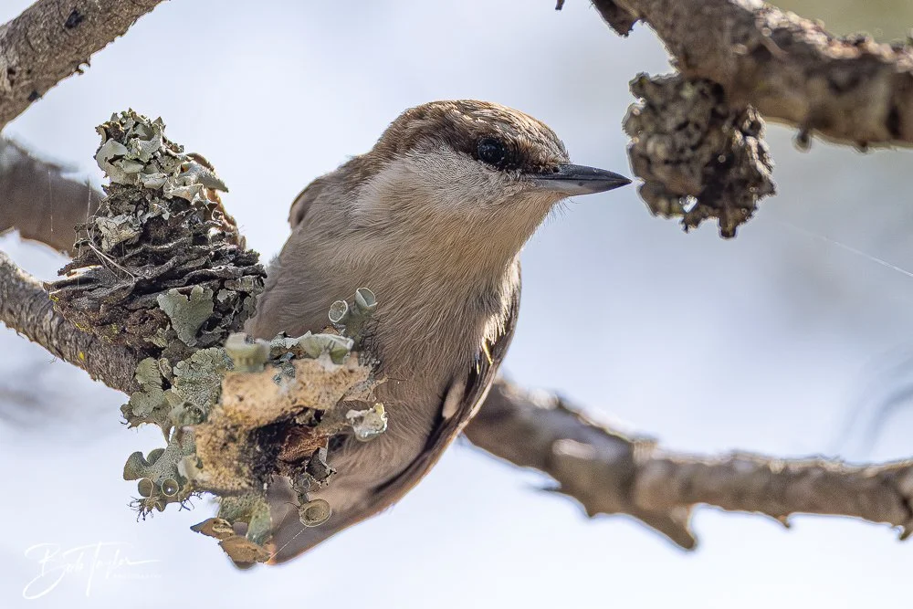 20260212-SASP -11.jpg