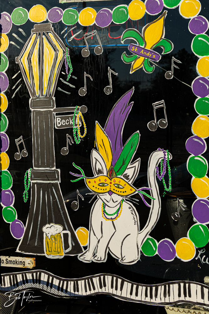 20260115-Mardi Gras Windows -36.png