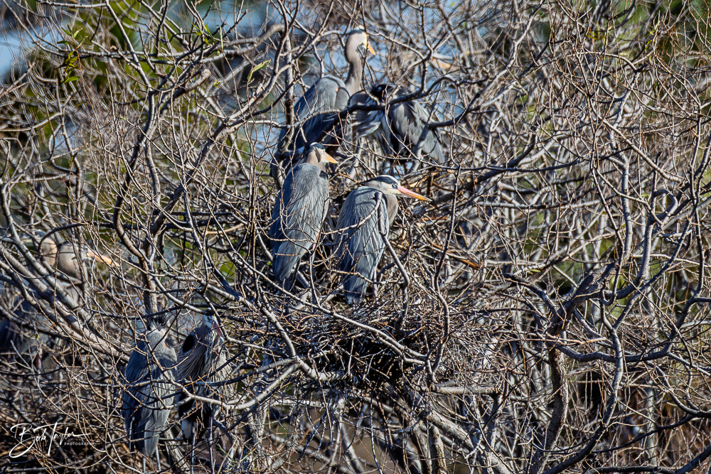 20260101-SASP -10.png