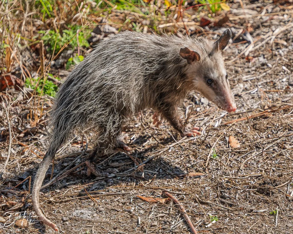 20251119-SASP Final -62.jpg