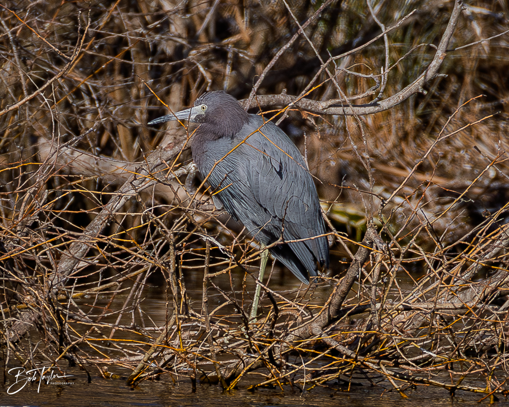 20260101-SASP -20.png