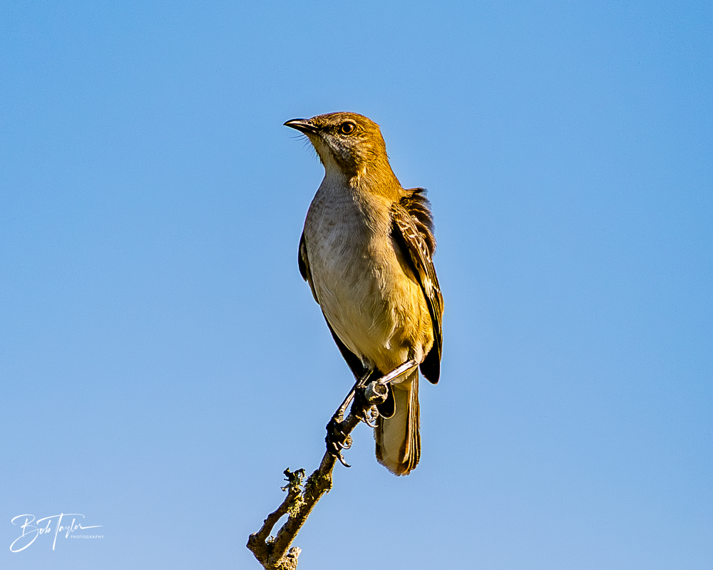 20260101-SASP -22.png