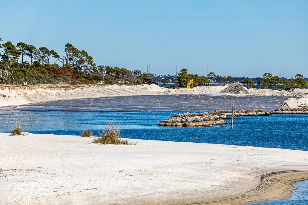 20250104-SASP -1739.jpg