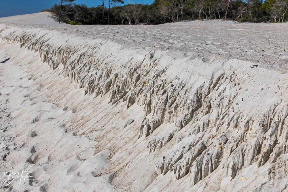 20251116-SASP One Day -16.jpg