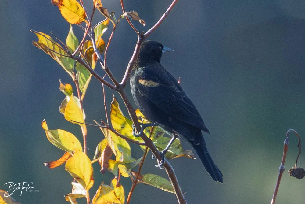 20251115-SASP Final -15.jpg