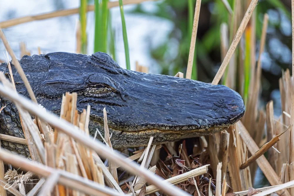 20251115-SASP Final -9.jpg