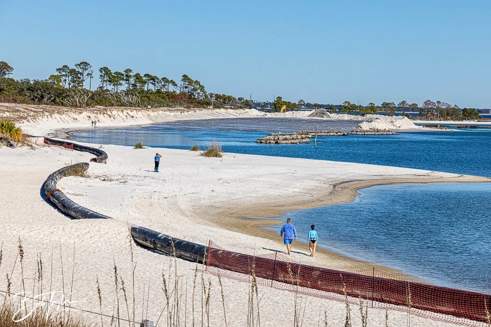 20250104-SASP -1740.jpg