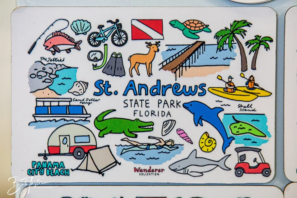 20260214-SASP Story -12.jpg