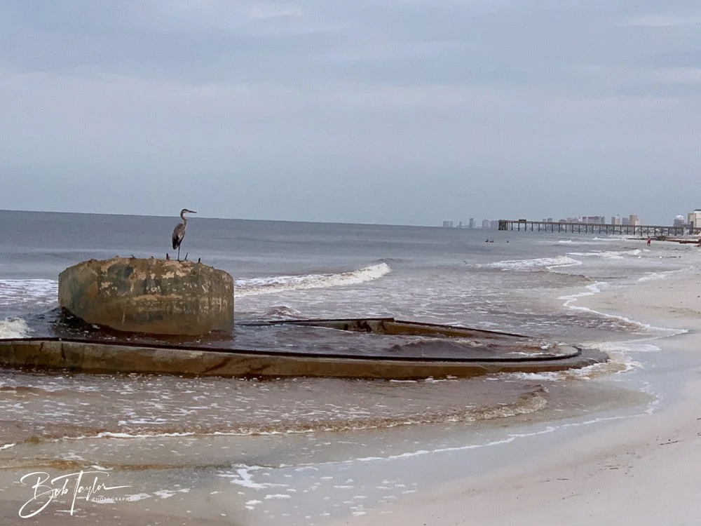 20200919-SASP -190.jpg