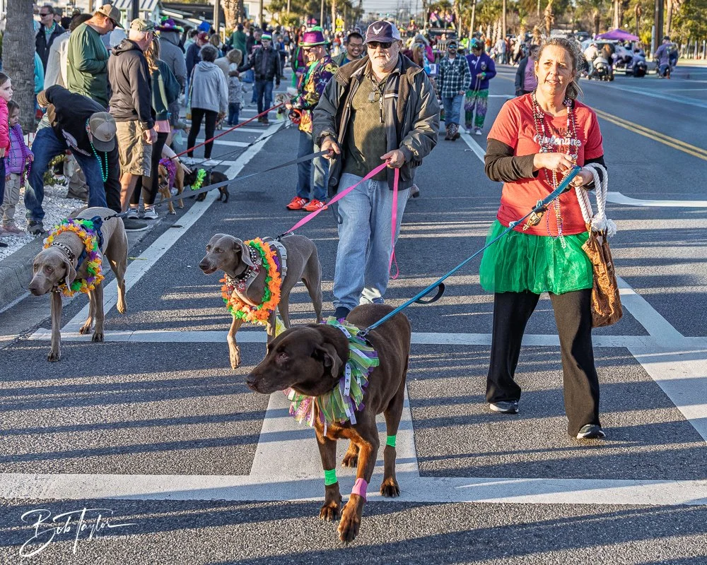 20260206-Mardi Gras Kids -35.jpg