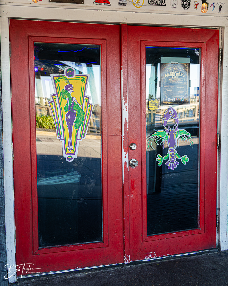 20260115-Mardi Gras Windows -36.png