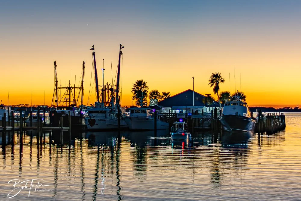 20260207-Mardi Gras Music -26.jpg