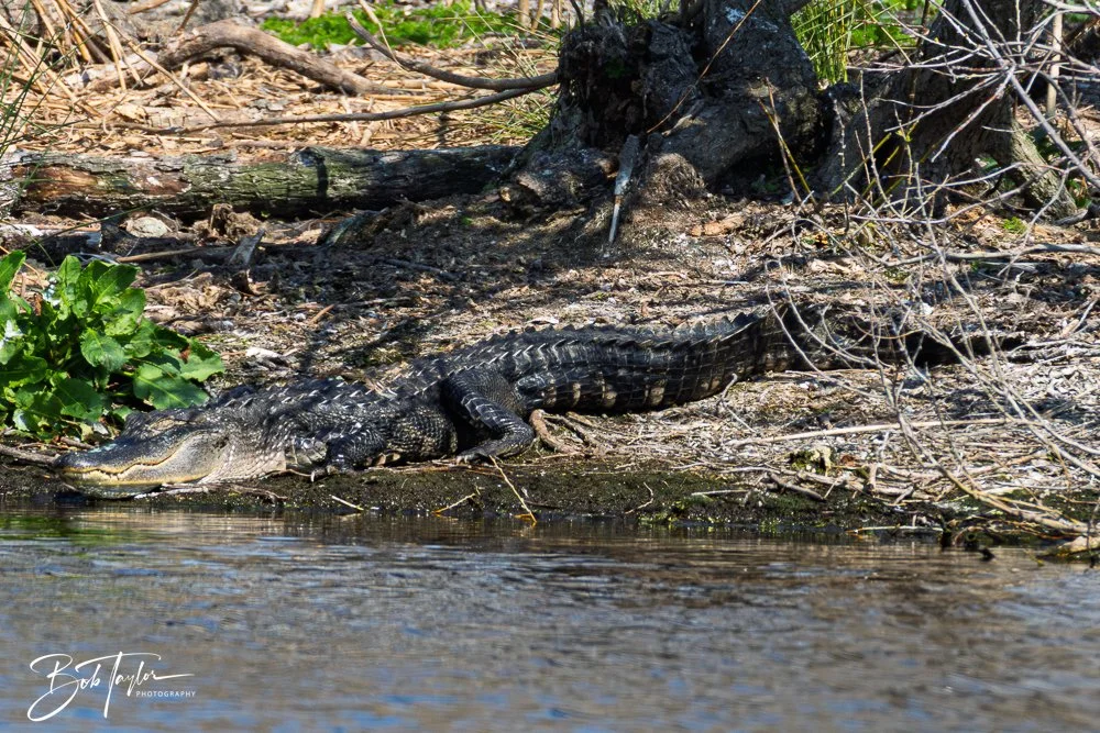 20260212-SASP -6.jpg