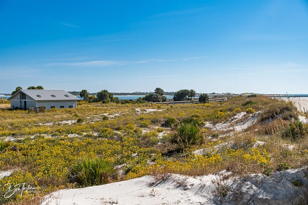 20251119-SASP Final -65.jpg