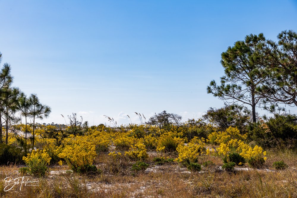 20251116-SASP One Day -10.jpg