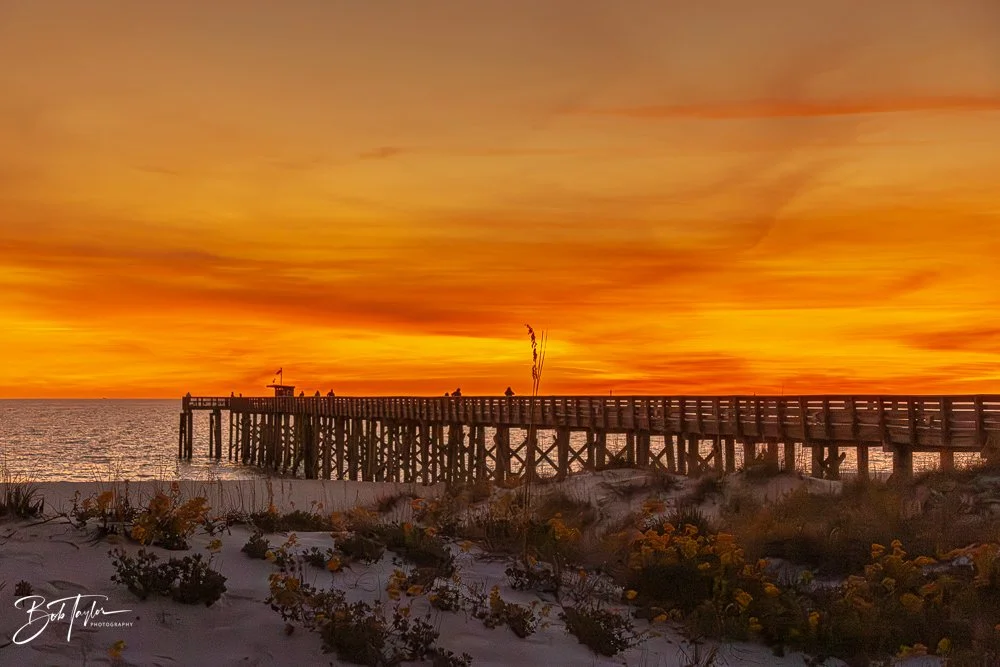 20251119-SASP Sunset -37.jpg