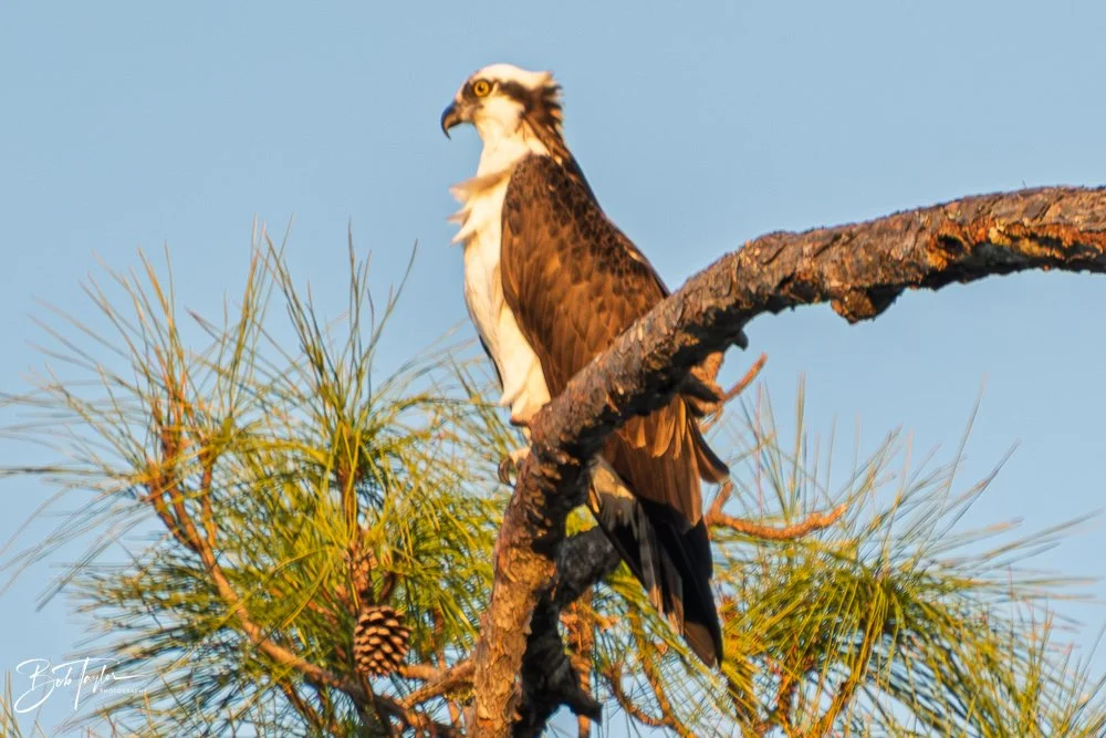 20251120-SASP Final -89.jpg