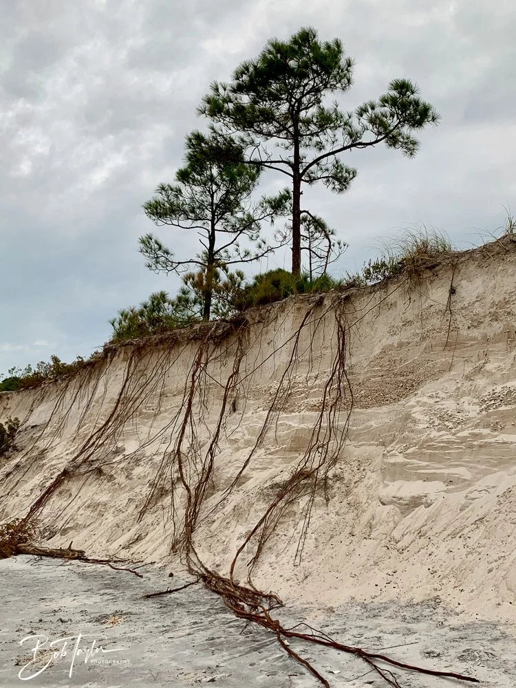 20200919-SASP -199.jpg