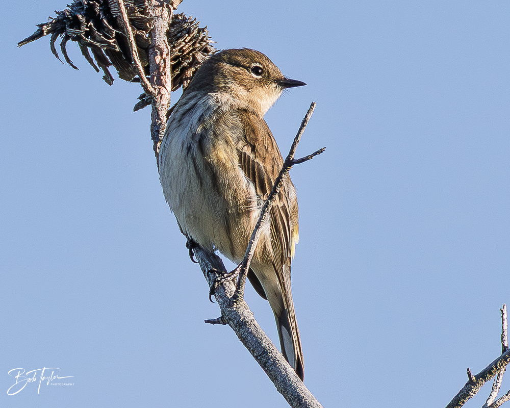 20260101-SASP -26.png