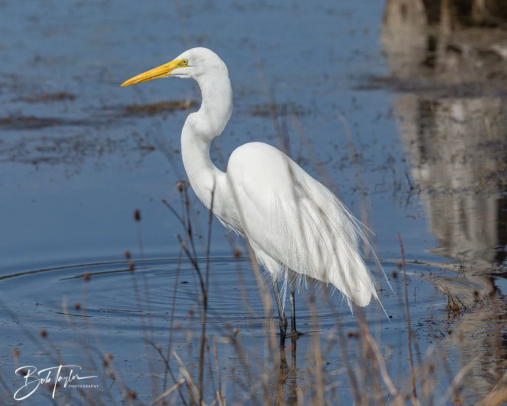 20260212-SASP -4.jpg