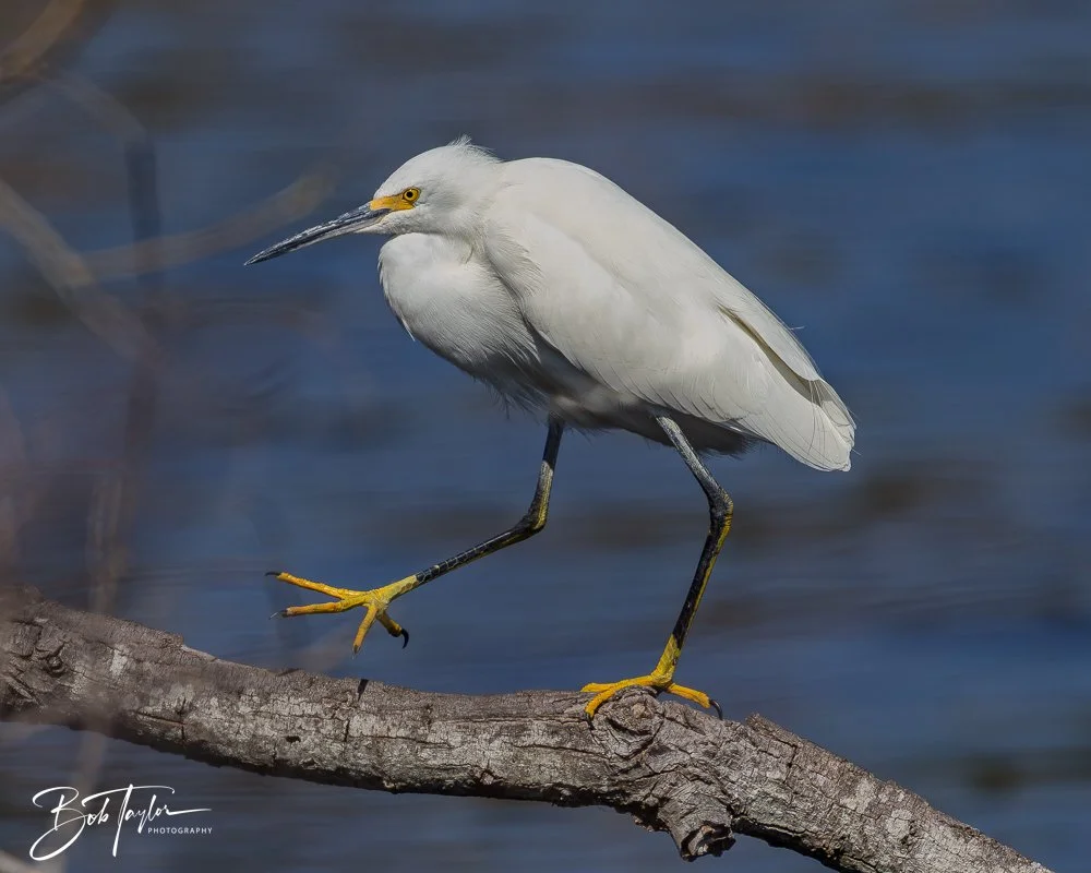 20260212-SASP -5.jpg