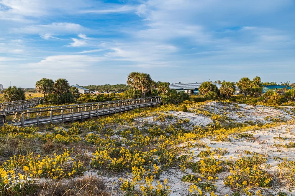 St Andrews State Park - 2025