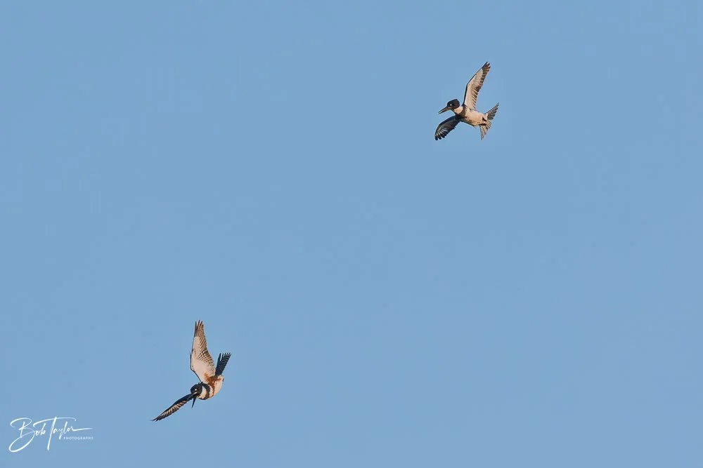 20251117-SASP Final -44.jpg