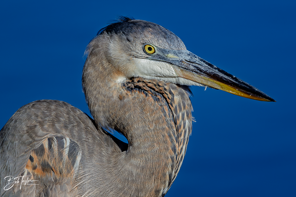 20260101-SASP -13.png