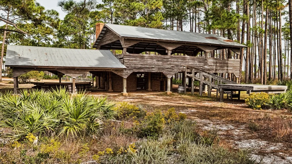 20260215-SASP Google Pics -8.jpg