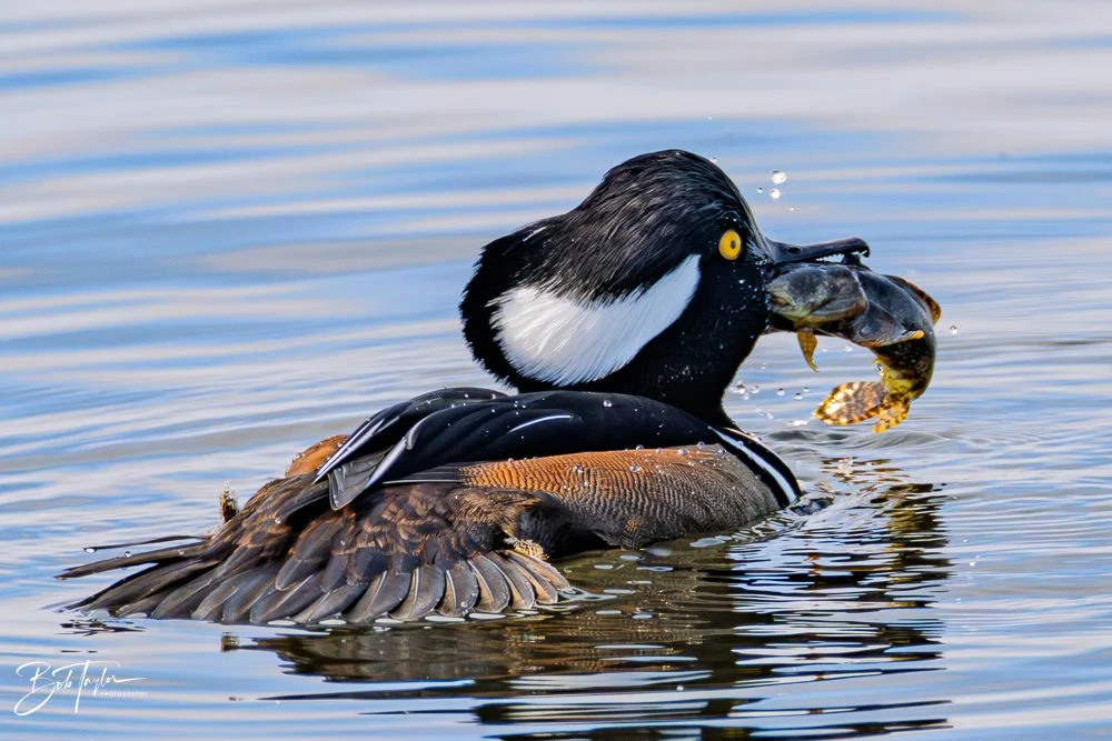 20251118-SASP Final -52.jpg