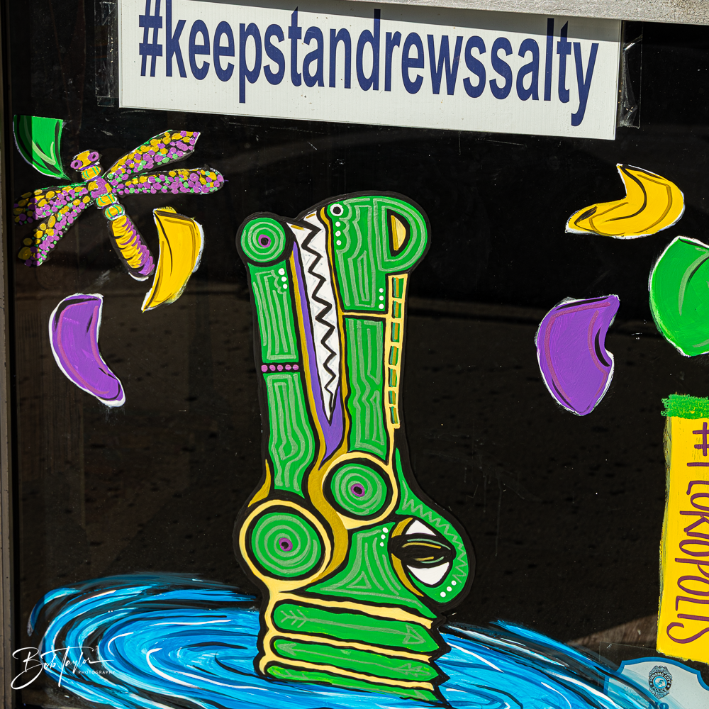 20260115-Mardi Gras Windows -31.png