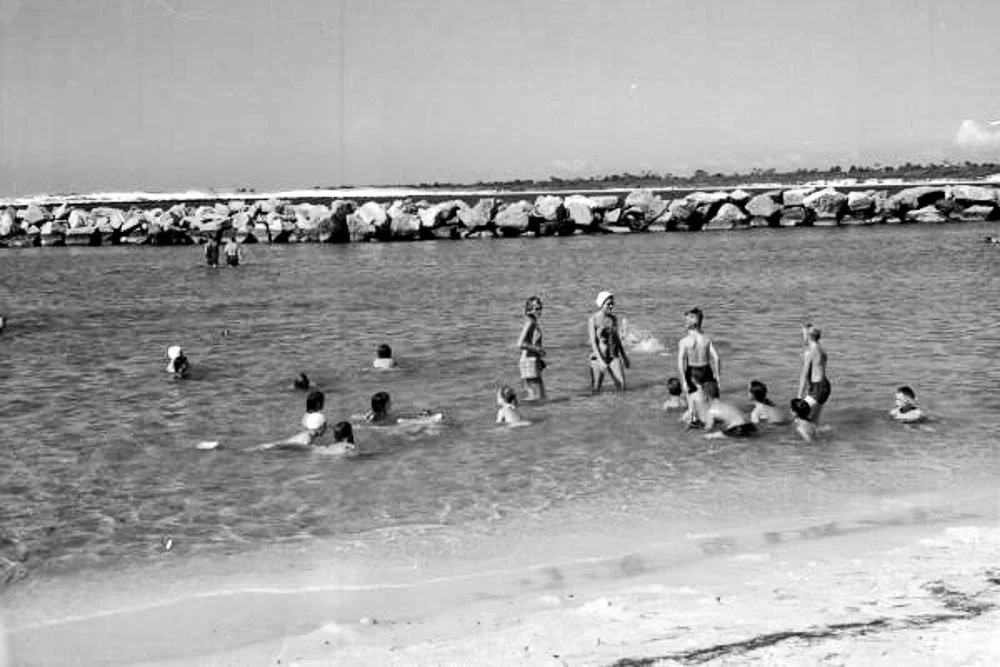 20260214-SASP Google Pics -5.jpg