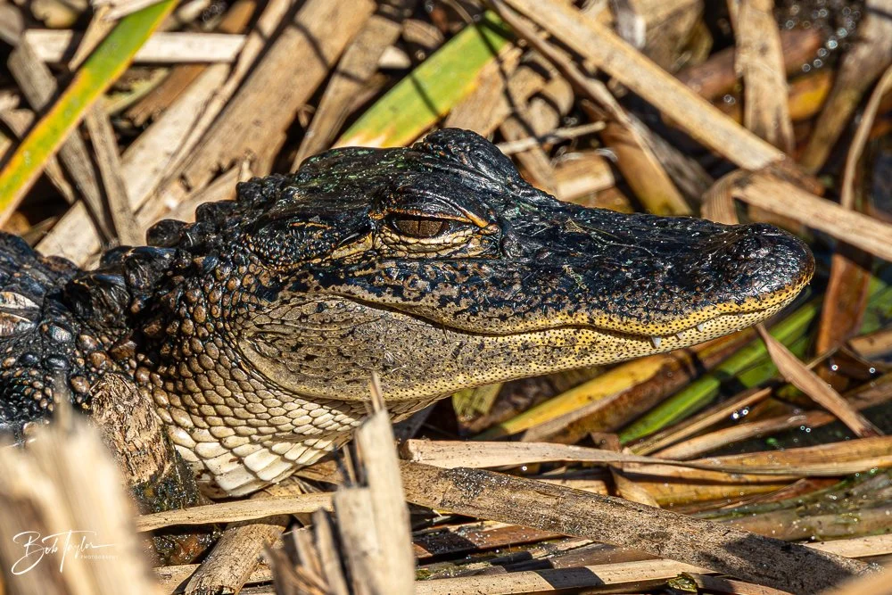 20251116-SASP One Day -47.jpg