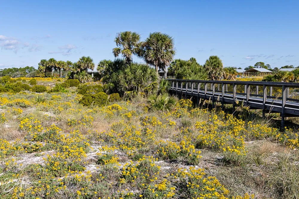 20251116-SASP One Day -35.jpg