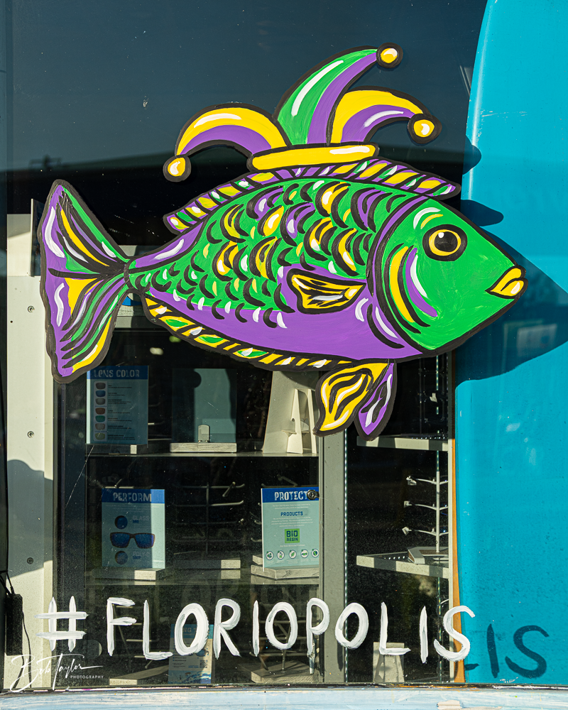 20260115-Mardi Gras Windows -21.png