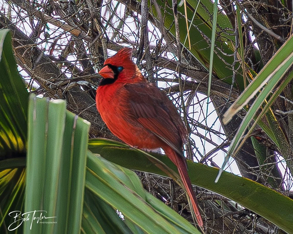 20260214-SASP -21.jpg