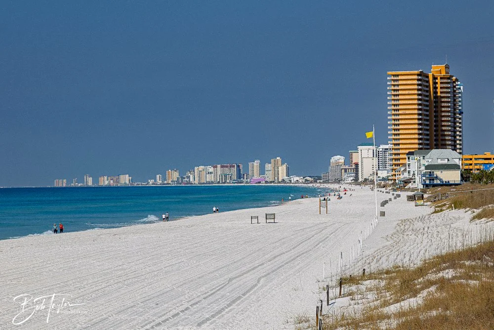 20260212-SASP -1.jpg