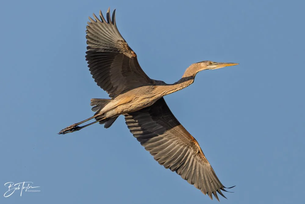 20251115-SASP Final -26.jpg